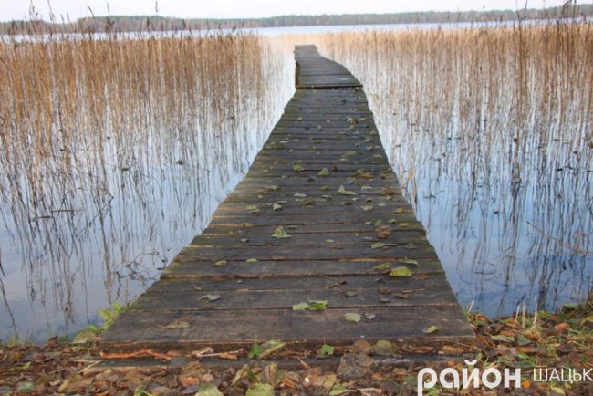 Золота осінь у санаторії «Лісова пісня». ФОТО