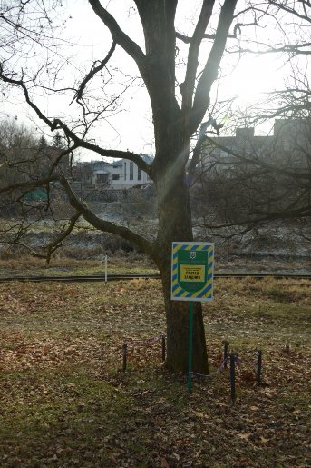 Найстаріший парк Луцька: перлина, яка занепадає