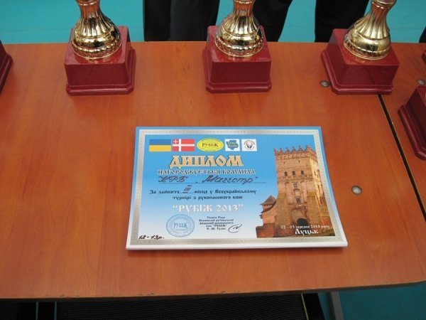 У Луцьку змагалися в «рукопашці». ФОТО