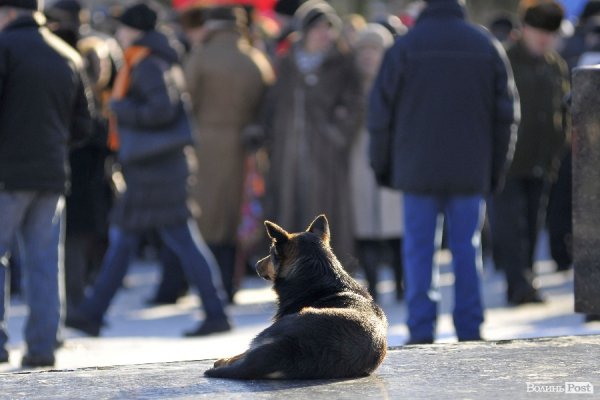 Віче на луцькому Євромайдані. ФОТО