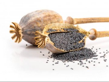 Чому варто купувати мак оптом*