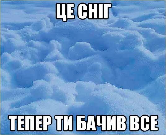 Інтернет жартує про зиму без снігу. ФОТО