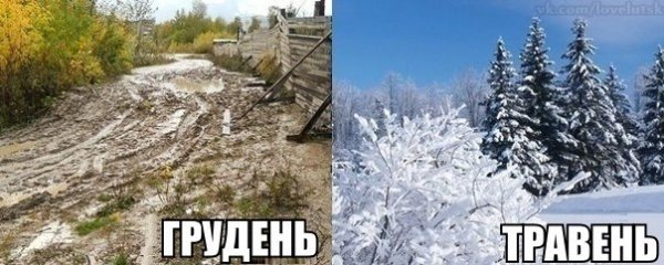 Інтернет жартує про зиму без снігу. ФОТО