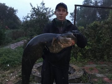 Волинянин спіймав гігантського сома. ФОТО