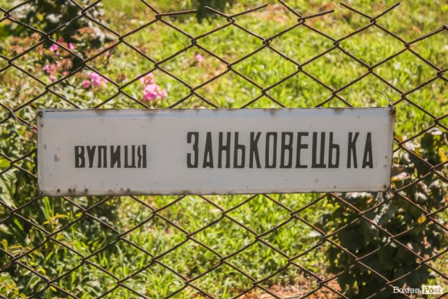 Безіменна вулиця і неназваний ставок: чим особливий неквапливий Вишків. ФОТО