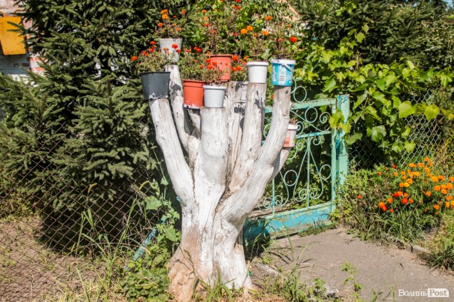 Безіменна вулиця і неназваний ставок: чим особливий неквапливий Вишків. ФОТО