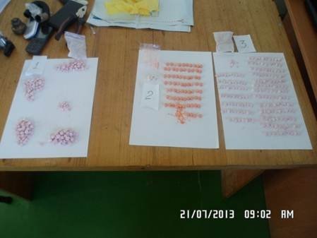 На Волині затримали латвійця з наркотиками. ФОТО