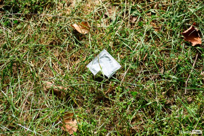 «Ми можемо прибрати, а ви хоча б не смітіть»: як у Луцьку розчищали парк на Потебні