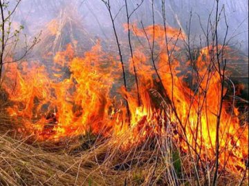 На Волині – масові пожежі сухої трави