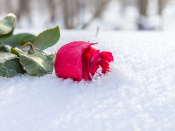 Погода у Луцьку та Волинській області на п'ятницю, 19 березня