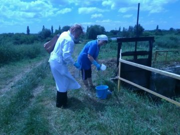Екологи встановили причину масової загибелі риби в Стиру біля Луцька