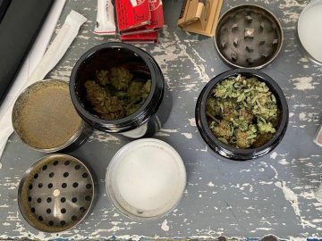 У «Ягодині» службовий пес «винюхав» в італійця наркотичну речовину