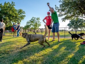 У луцькому парку просять облаштувати майданчик для вигулу собак