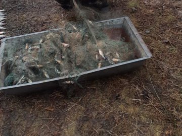 На волинському озері спіймали двох браконьєрів, які ловили рибу сітками. ФОТО 