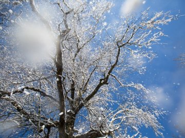 Погода в Луцьку та Волинській області на четвер, 24 січня
