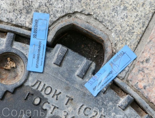 З якими обличчями керівники країни святкували День Незалежності. ФОТО