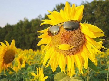 Синоптики: на Волині офіційно настало метеорологічне літо