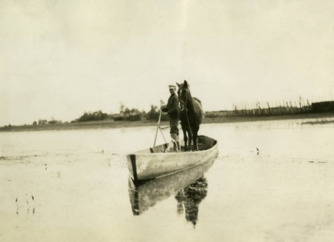 Американська мандрівниця зазнімкувала Волинське Полісся 85 років тому. ФОТО