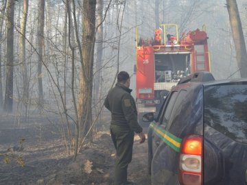 Загрожувало лісовою пожежою: на Волині через підпал горіли сміттєзвалища. ФОТО. ВІДЕО