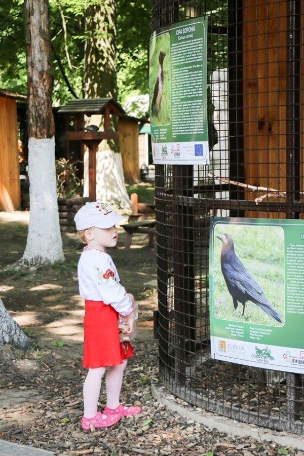 Гостей у вишиванках в Луцький зоопарк впускали безкоштовно. ФОТО