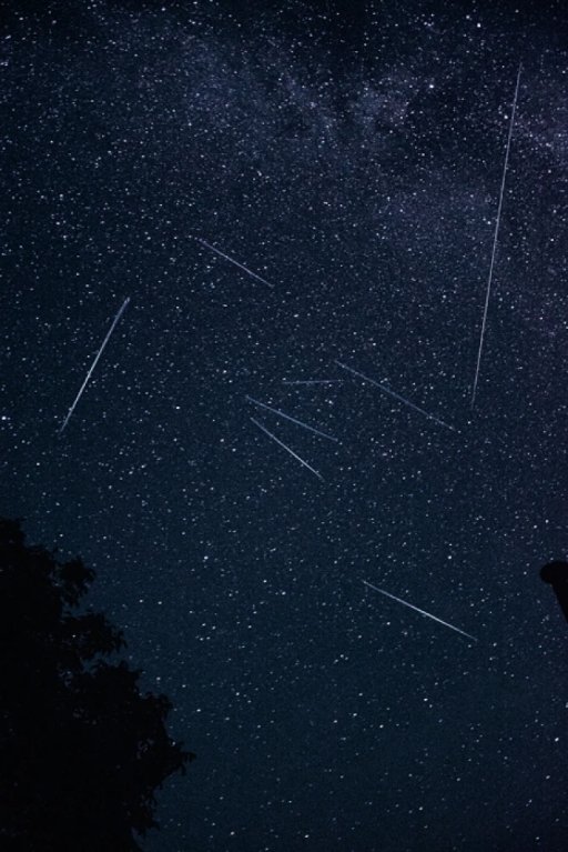 Фотограф з Волині зазнімкував неймовірний зорепад. ФОТО