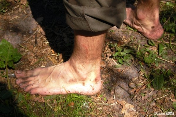 У волинських лісах «воюють» Чорна сотня і сотня Перця. ФОТО 