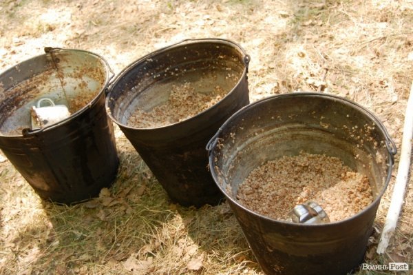 У волинських лісах «воюють» Чорна сотня і сотня Перця. ФОТО 