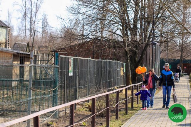 Квіти, усмішки і діти: як минуло 8 березня у Луцькому зоопарку. ФОТО