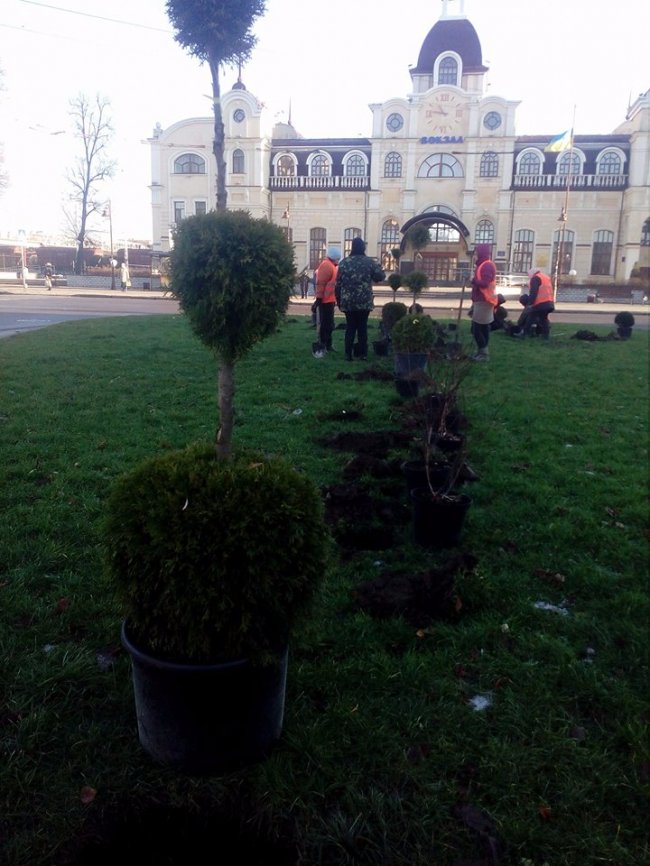 У Луцьку біля залізничного вокзалу озеленюють територію. ФОТО