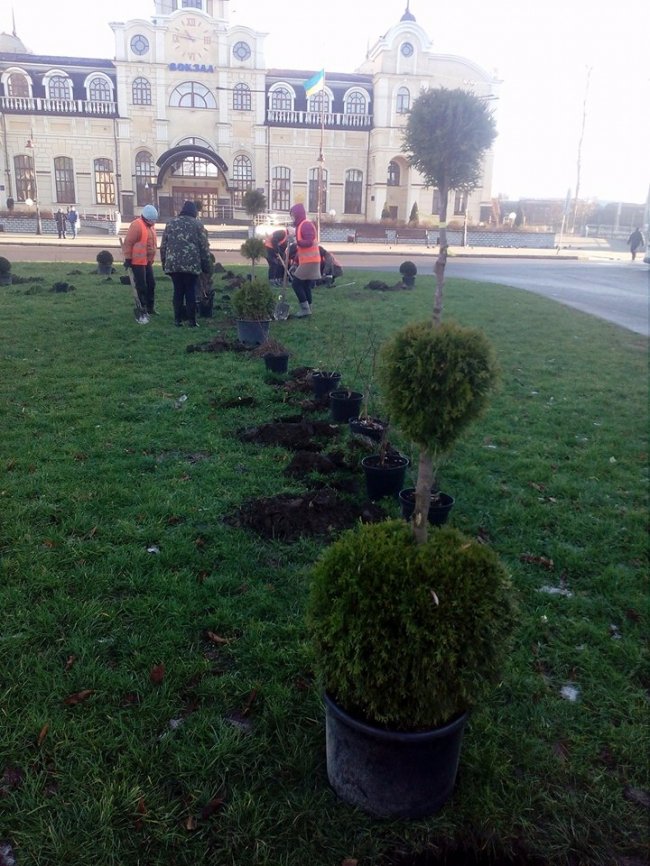 У Луцьку біля залізничного вокзалу озеленюють територію. ФОТО
