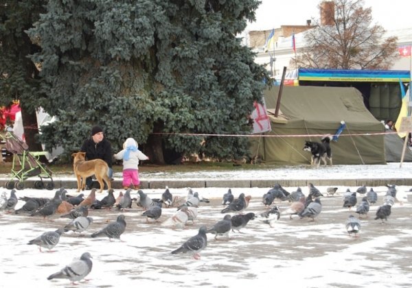 У Луцьку вчили, як оборонятися від «Беркута» і «тітушків». ФОТО. ВІДЕО