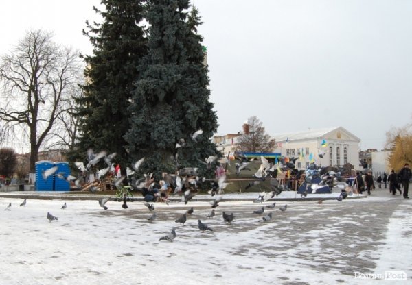 У Луцьку вчили, як оборонятися від «Беркута» і «тітушків». ФОТО. ВІДЕО