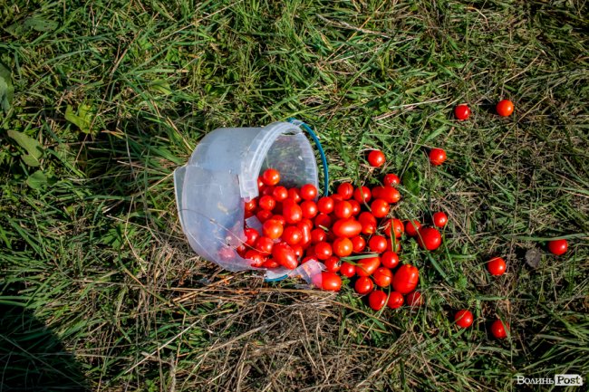 Ранок після фестивалю «Бандерштат». ФОТО