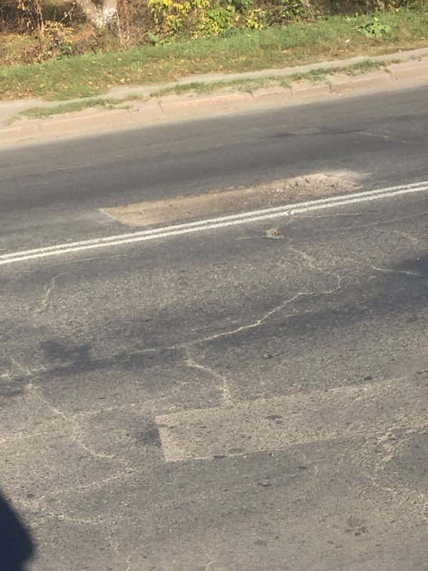 Ями та стерті переходи: лучанка просить взятись за впорядкування вулиці. ФОТО