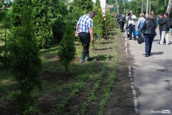 У Луцьку губернатор і мер висадили «Алею миру». ФОТО