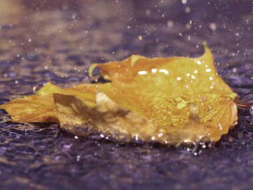 Погода в Луцьку та Волинській області на суботу, 17 жовтня