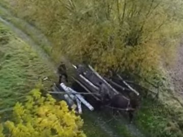 На Волині дрон спіймав крадіїв лісу «на гарячому». ВІДЕО