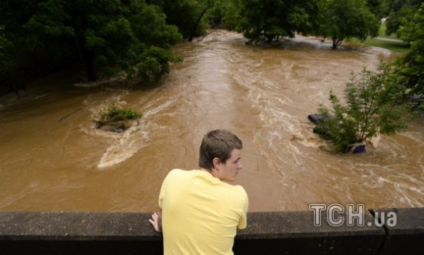 Злива в Грузії: затоплені будинки, вбита худоба, знищений урожай. ФОТО