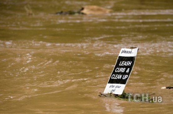 Злива в Грузії: затоплені будинки, вбита худоба, знищений урожай. ФОТО