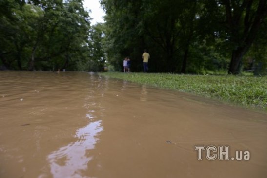 Злива в Грузії: затоплені будинки, вбита худоба, знищений урожай. ФОТО