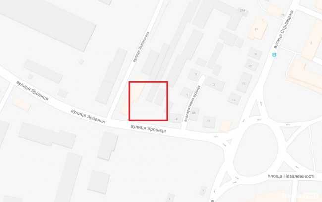 Де у Луцьку недорого купити квіти до свята. АДРЕСИ. ФОТО