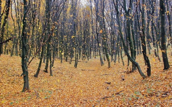 Фотовиставка Сергія Палька