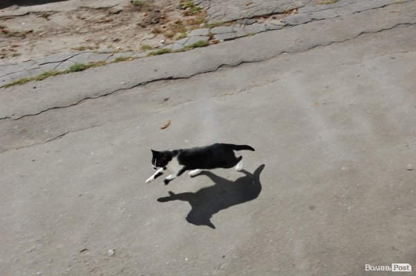 У Луцьку – посвята в студенти «європейського» вишу. ФОТО