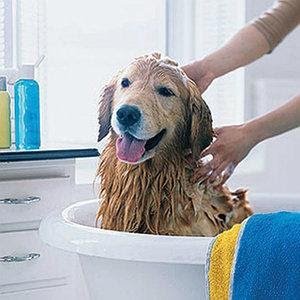  Хто продає оптом товари для салонів краси тварин*