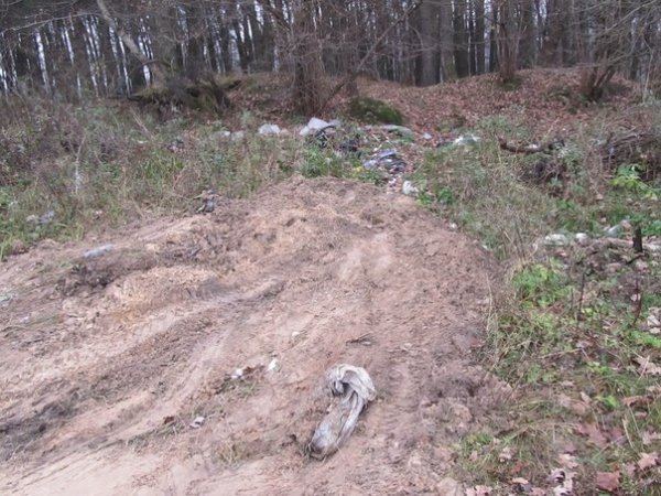 Під Ківерцями «ліквідували» сміттєзвалища, засипавши їх землею. ФОТО