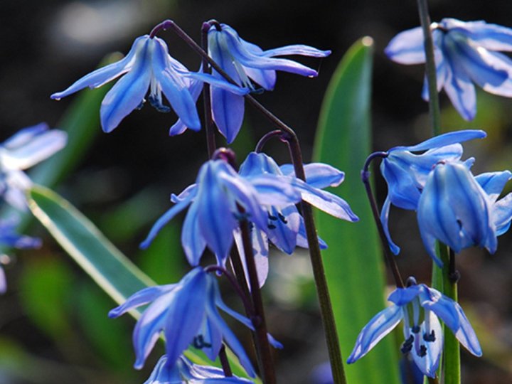 19 квітня на Волині: гортаючи календар