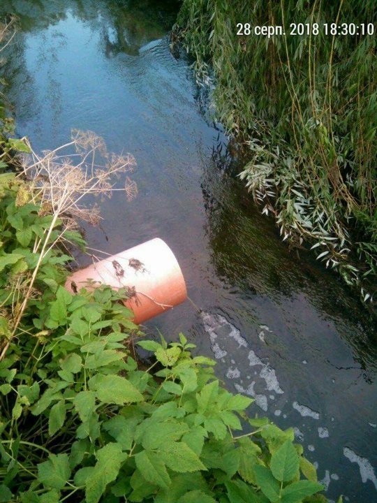 У Луцьку муніципали знайшли можливі джерела смороду у місті. ФОТО