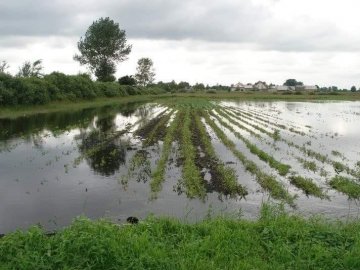 Ситуація, що виникла на Волині у зв’язку з літнім паводком, не підпадає під статус надзвичайної