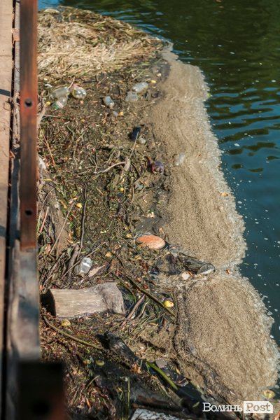 Ранок після фестивалю «Бандерштат». ФОТО