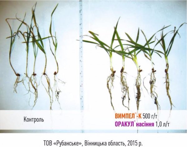 Стимулятори та добрива – тільки якісні та перевірені